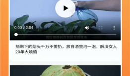柚子视频,探索短视频新潮流，引领潮流风向标